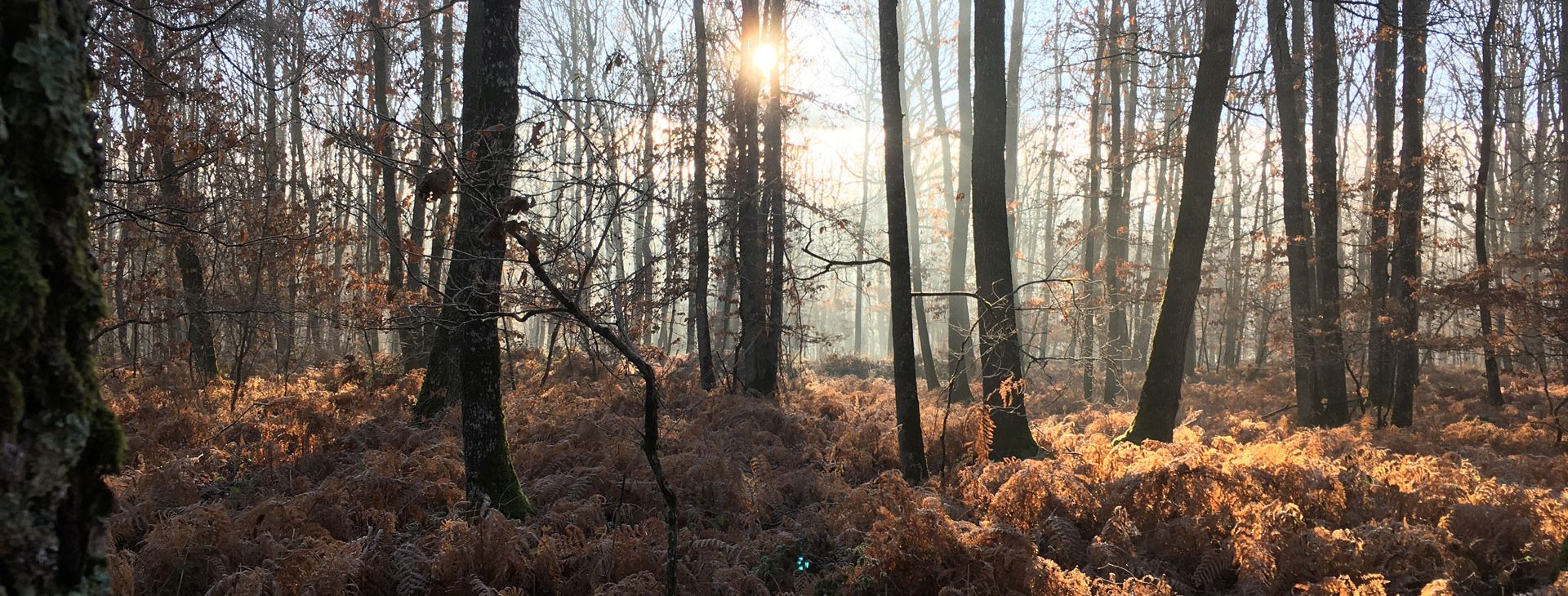 Matériel de chasse et de pêche à Poitiers